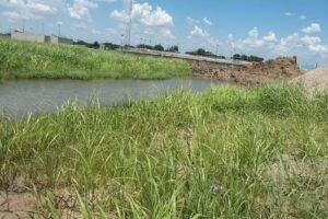 Iglesia Sagrado Coraz&oacute;n de Jes&uacute;s &ldquo;Buenavista&rdquo;
