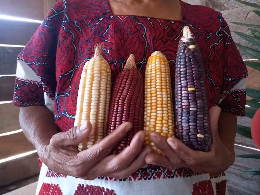 Iglesia San Antonio de Padua