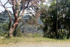 Iglesia San Jos&eacute; Coapichapan