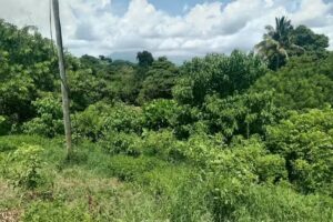 Iglesia San Jose Rancho Nuevo