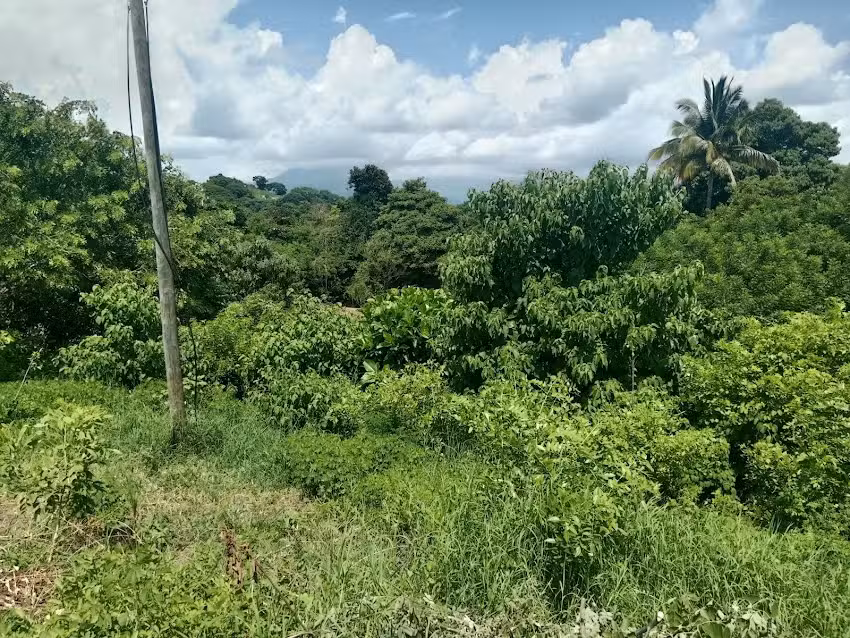 Iglesia San Jose Rancho Nuevo