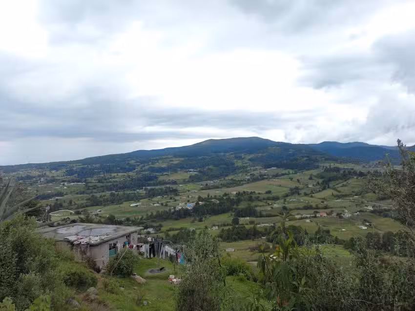 IGLESIA,SAN LUIS REY
