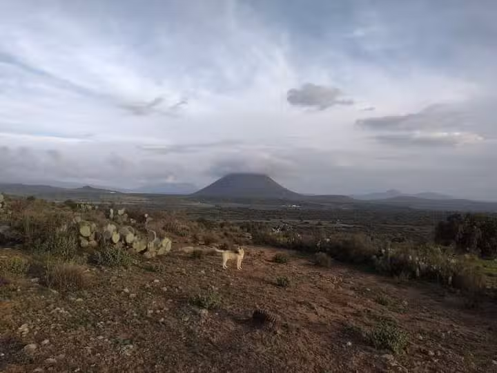 Iglesia Santa Monica ( La Cruz )