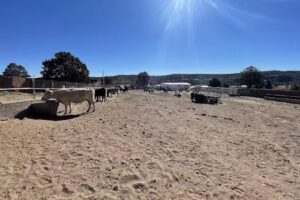 Iglesia Santo Ni&ntilde;o de Atocha