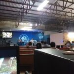 Iglesia Semilla de Mostaza