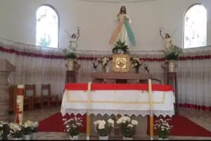 Iglesia &ldquo;Se&ntilde;or De La Misericordia&rdquo;