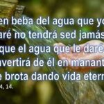 Iglesia Se&ntilde;or de Tila