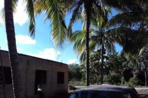 Iglesia Universal de Jesucristo