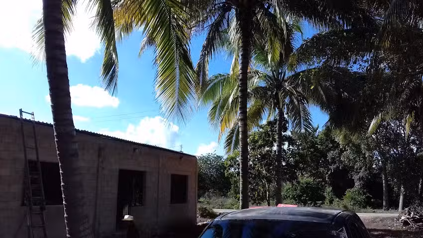 Iglesia Universal de Jesucristo