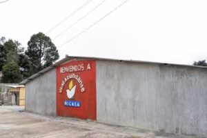 Iglesia Vida Abundante Nuevo zinacantan