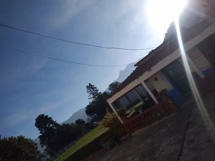 Iglesia Vida al Mundo