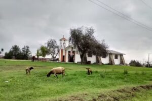 Iglesia Virgen de Guadalupe