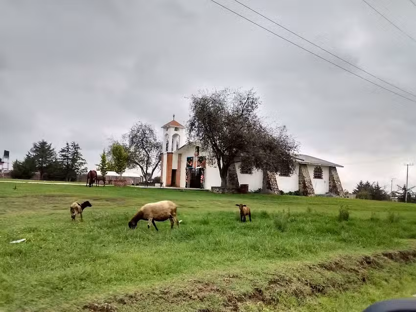 Iglesia Virgen de Guadalupe