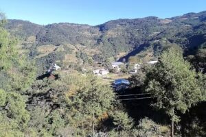 Iglesia Virgen de Guadalupe