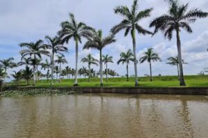 Iglesia Virgen De La Candelaria