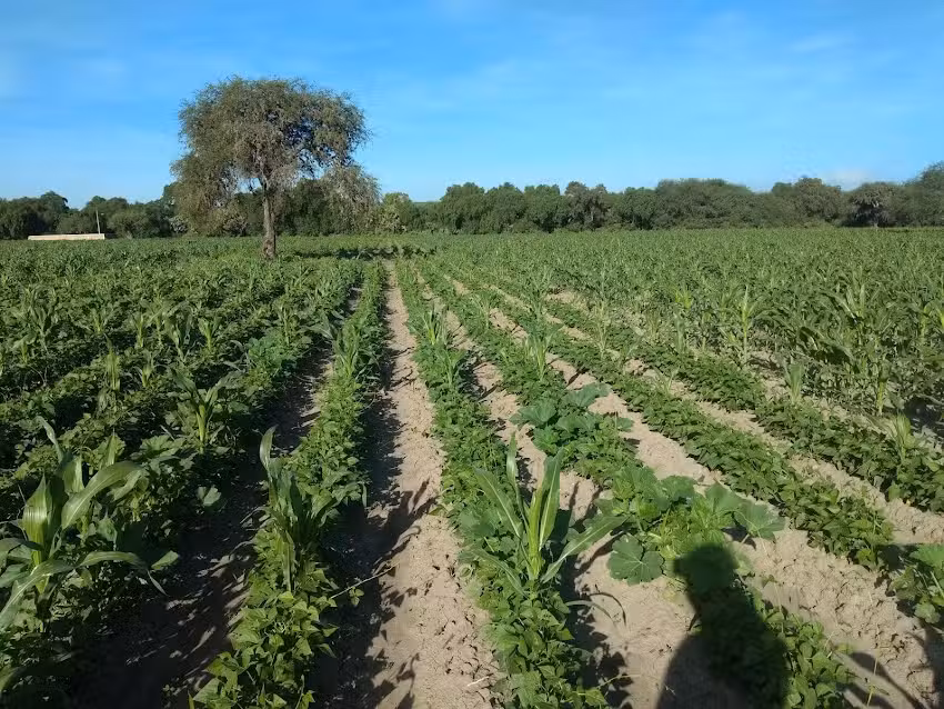 Iglesia virgen de la paz, Santa fe