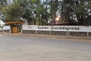 Iglesia Virgen del Rosario