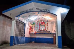 Inmaculada Concepci&oacute;n