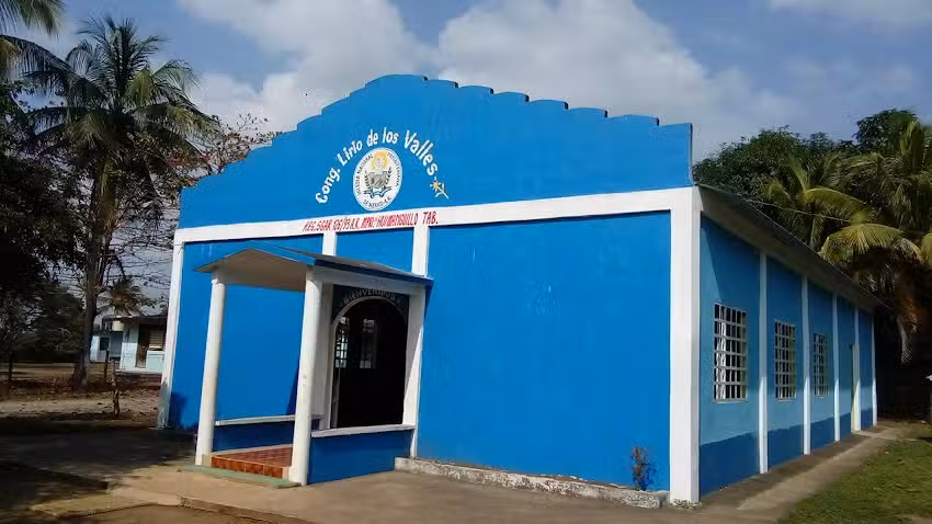 INPM Lirio De Los Valles