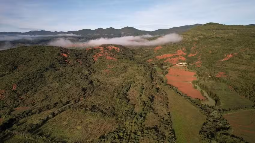 Jazm&iacute;n, yanhuitlan