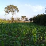 Kingdom Hall of Jehovah&rsquo;s Witnesses