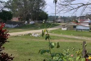 La ascension del se&ntilde;or