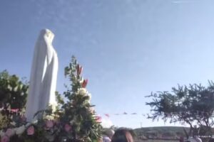 LA BIZNAGA DE CERRO GRANDE