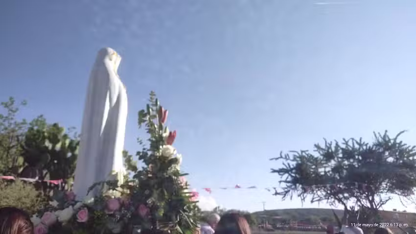 LA BIZNAGA DE CERRO GRANDE