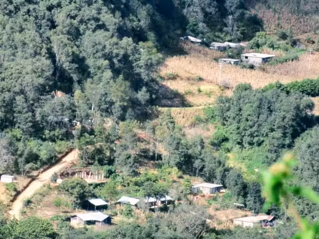 La Ca&ntilde;ada Tejocote