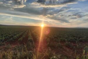 La Honda Mennonite Fellowship