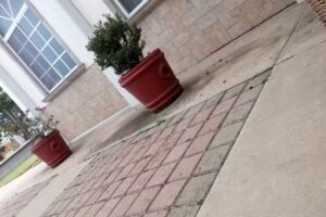 La Iglesia de Jesucristo de los Santos de los &Uacute;ltimos D&iacute;as