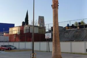 La Iglesia de Jesucristo de los Santos de los &Uacute;ltimos D&iacute;as