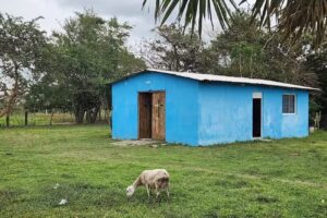 La inmaculada concepci&oacute;n de virgen mar&iacute;a