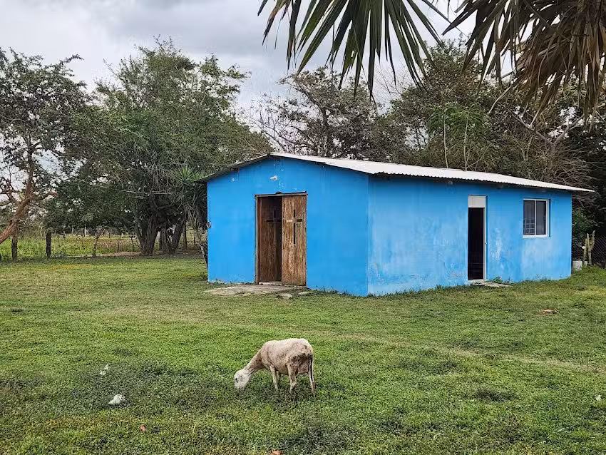 La inmaculada concepci&oacute;n de virgen mar&iacute;a