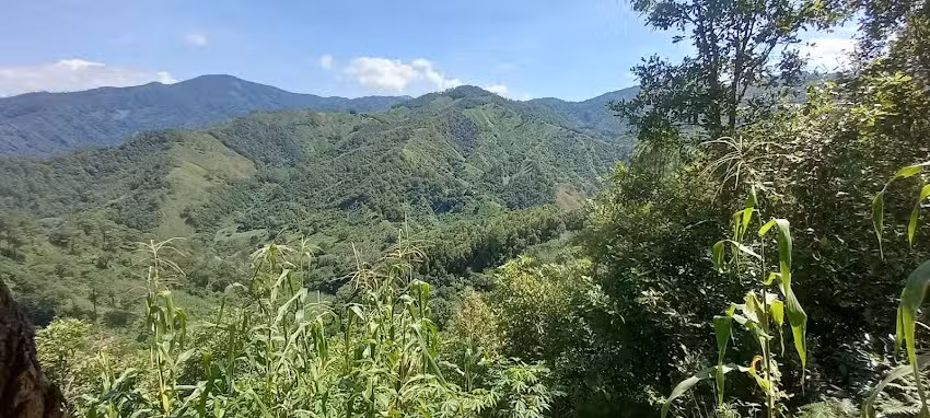 La Palma Nuevo Paraiso