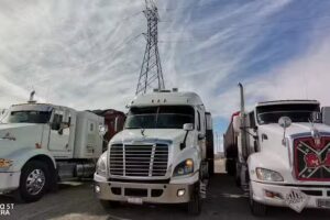 La sombra del verijas