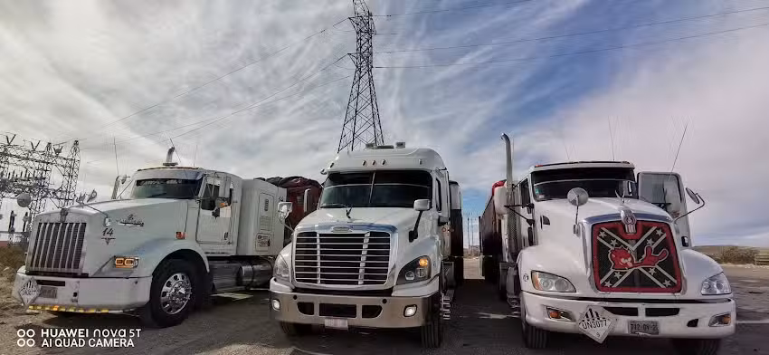 La sombra del verijas