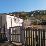 &ldquo;La vi&ntilde;a&rdquo;