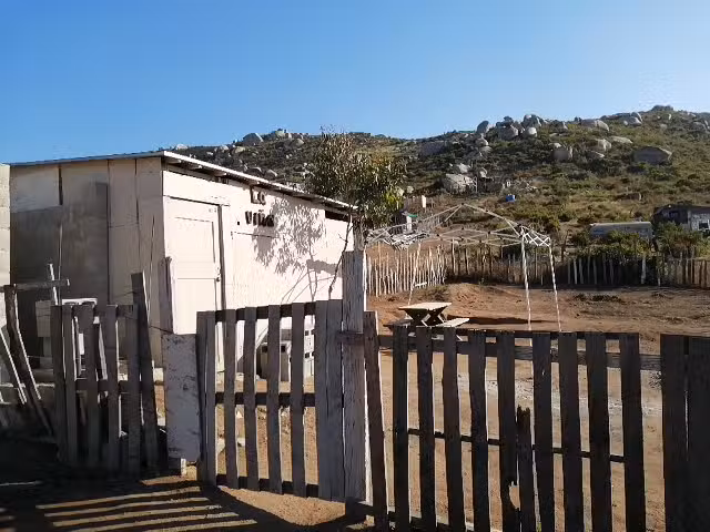 &ldquo;La vi&ntilde;a&rdquo;