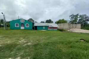 Le&oacute;n de Jud&aacute; Iglesia de Dios