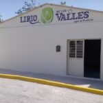 Lirio de los Valles