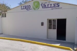 Lirio de los Valles