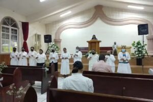 Lirio de los Valles CLADIC