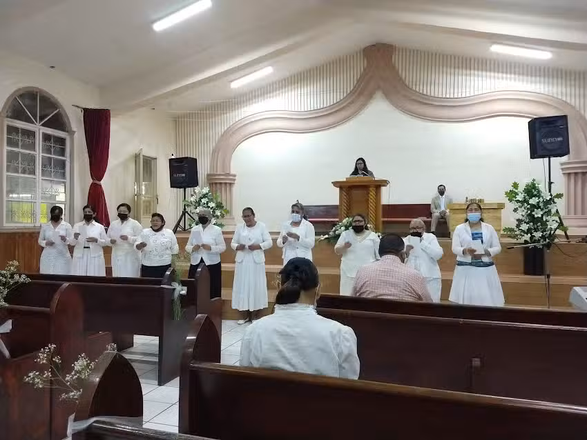 Lirio de los Valles CLADIC