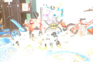 Lírio de los Valles (Col. María Isabel) – ICIAR (Iglesia Cristiana Interdenominacional)