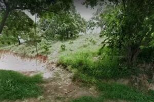 LLDM Tierra F&eacute;rtil