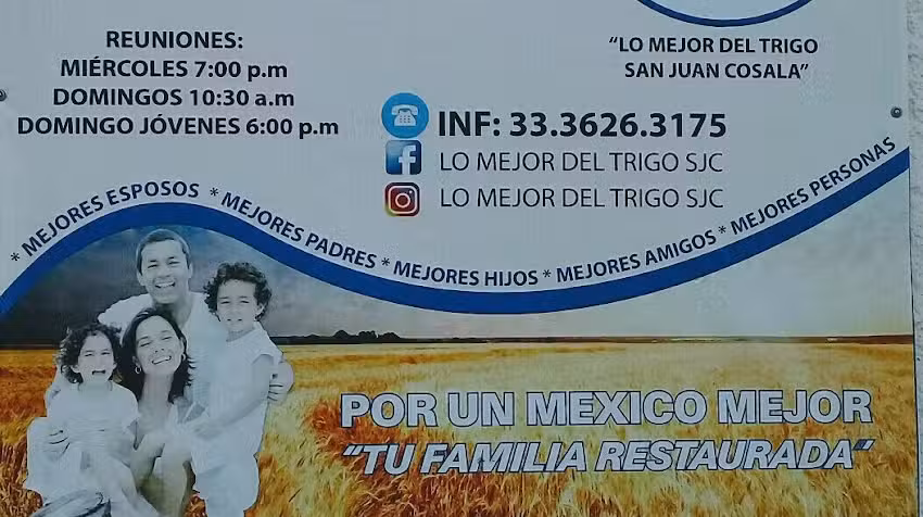 LO MEJOR DEL TRIGO SAN JUAN COSALA