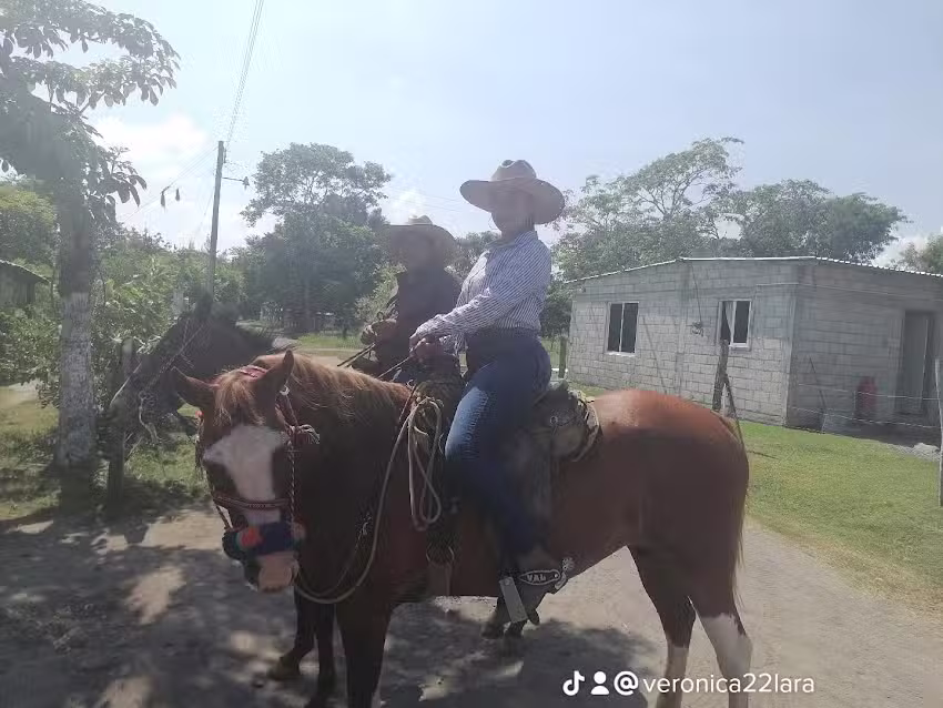 Loc.Ampliaci&oacute;n Isla de Pajaritos Tlalixcoyan