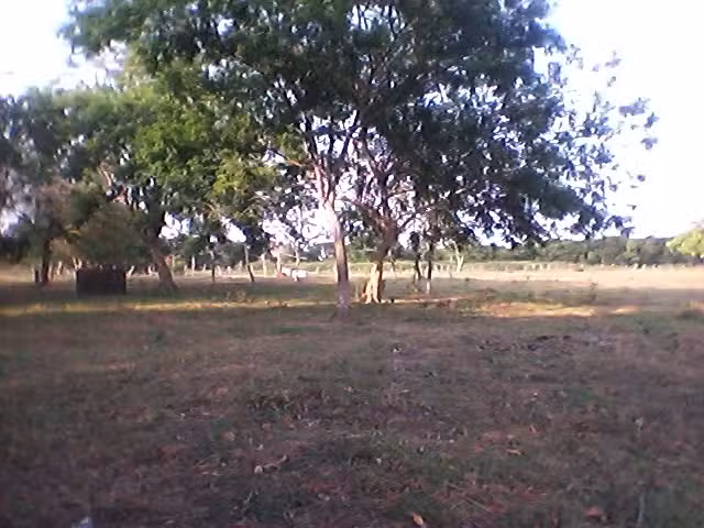 Loc Cerro Alto Tlalixcoyan