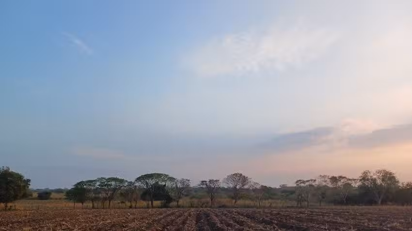Loc.Loma del Carmen Tlalixcoyan